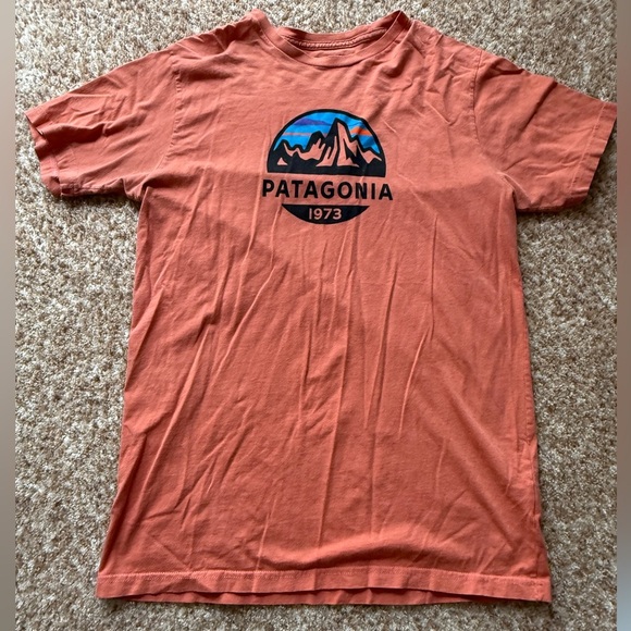 Patagonia Other - PATAGONIA T-Shirt Mens Organic Cotton Medium Slim Fit Athleisure Outdoor Workout
